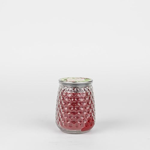 Greenleaf - Gifts Signature Fragranced Soy Blend Glass Decorative Candle - Merry Memories
