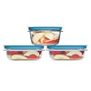 Rubbermaid® Flex & Seal™ 6-Piece Food Containers with Easy Find Lids